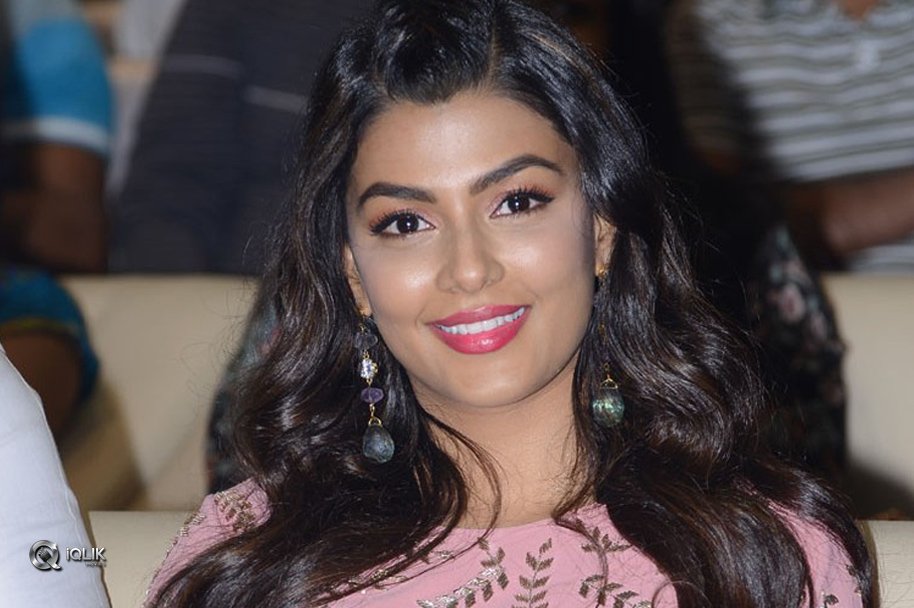 Anisha-Ambrose-At-Okkadu-Migiladu-Movie-Pre-Release-Function